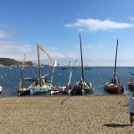 Plage de Paulilles