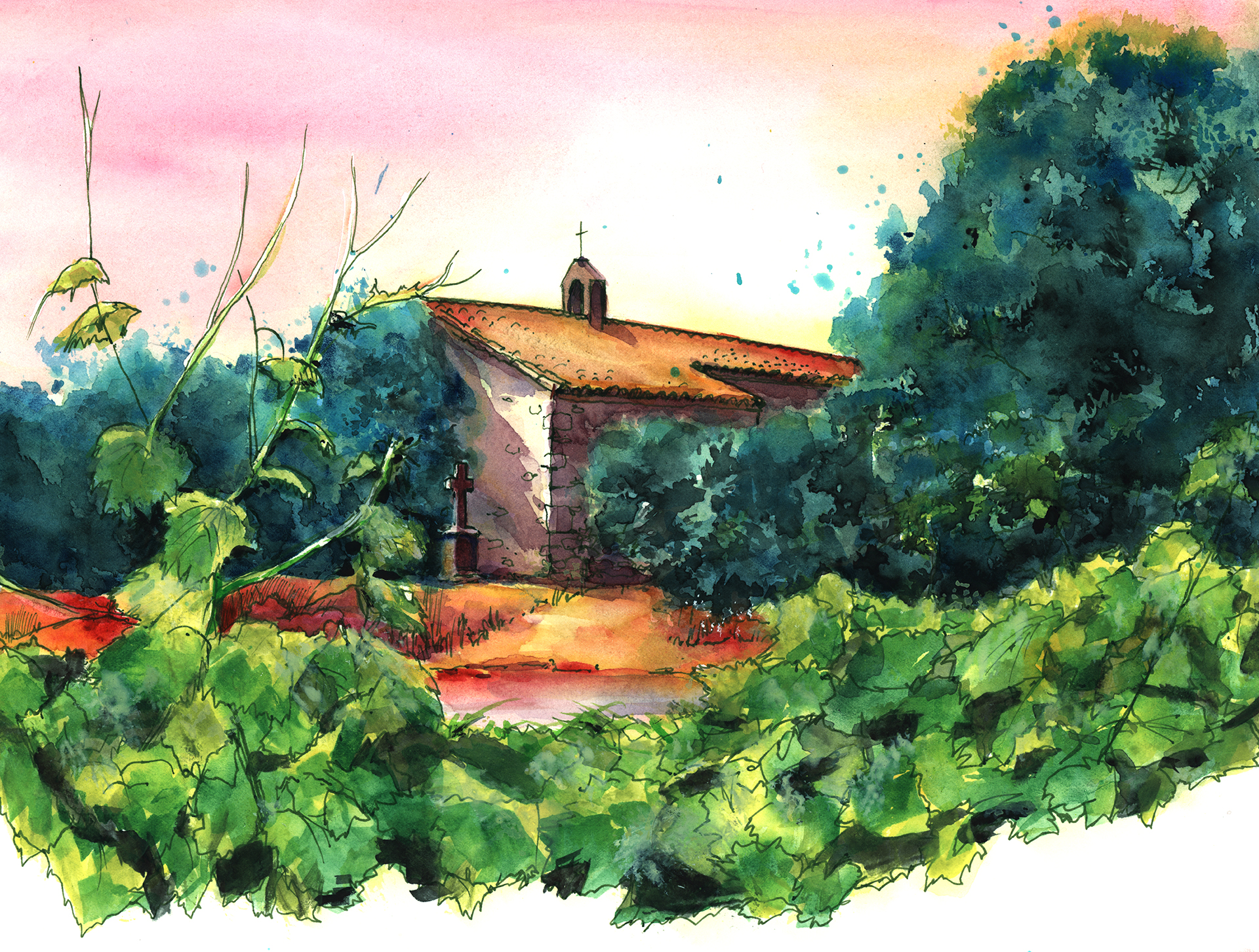 Sainte-Cecile dans les vignes Tourouzelle
