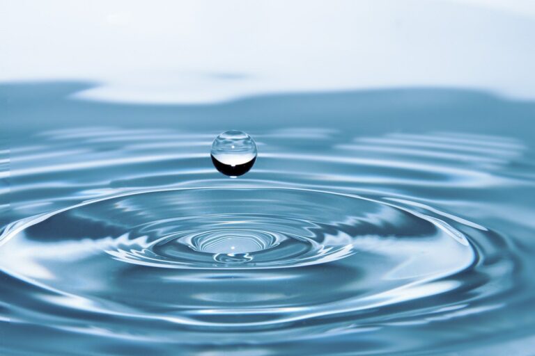 Zoom workshop – Water