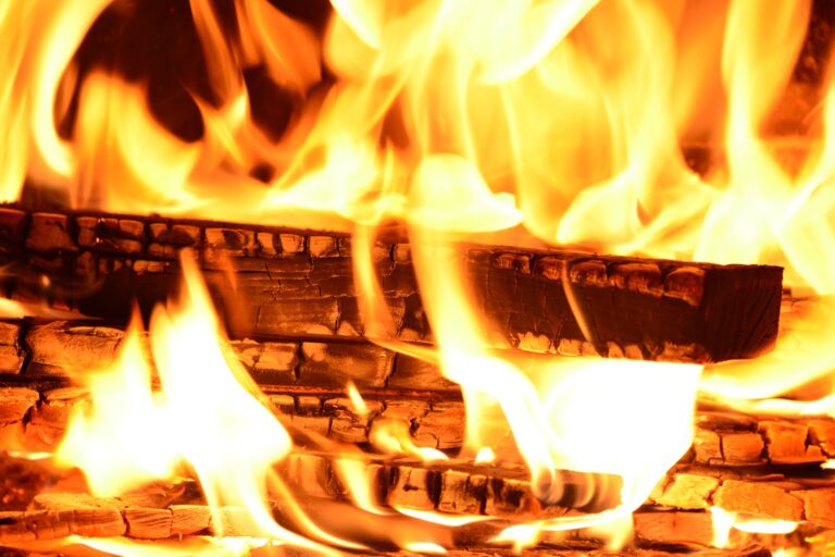 Zoom workshop – Fire